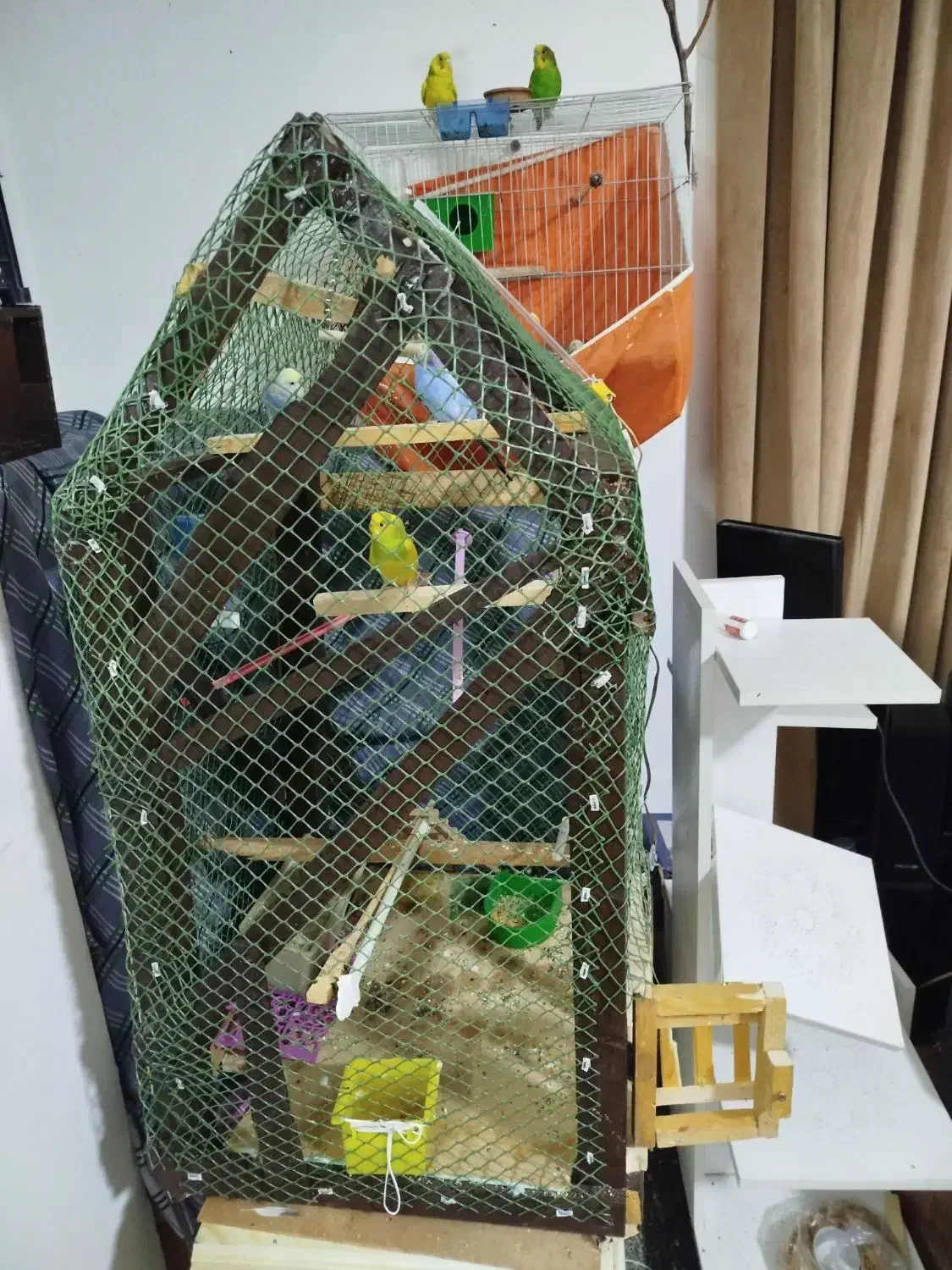قفس پرنده کاملا چوبی|لوازم جانبی حیوانات|پاکدشت, شهرک امام رضا|دیوار