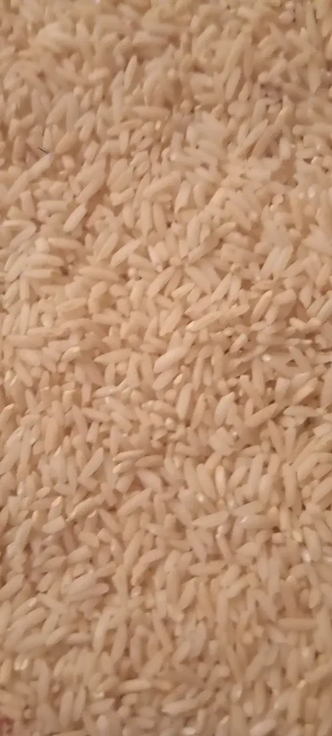 برنج علی کاظمی درجه یک|خوردنی و آشامیدنی|بیرانوند, |دیوار