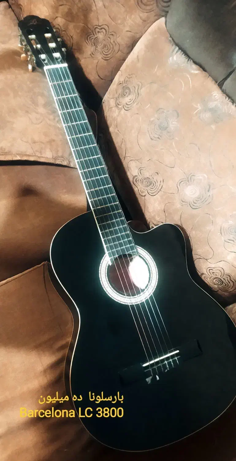 گیتارهای حرفه ای کمیاب اورجینال|گیتار، بیس، امپلیفایر|تایباد, |دیوار