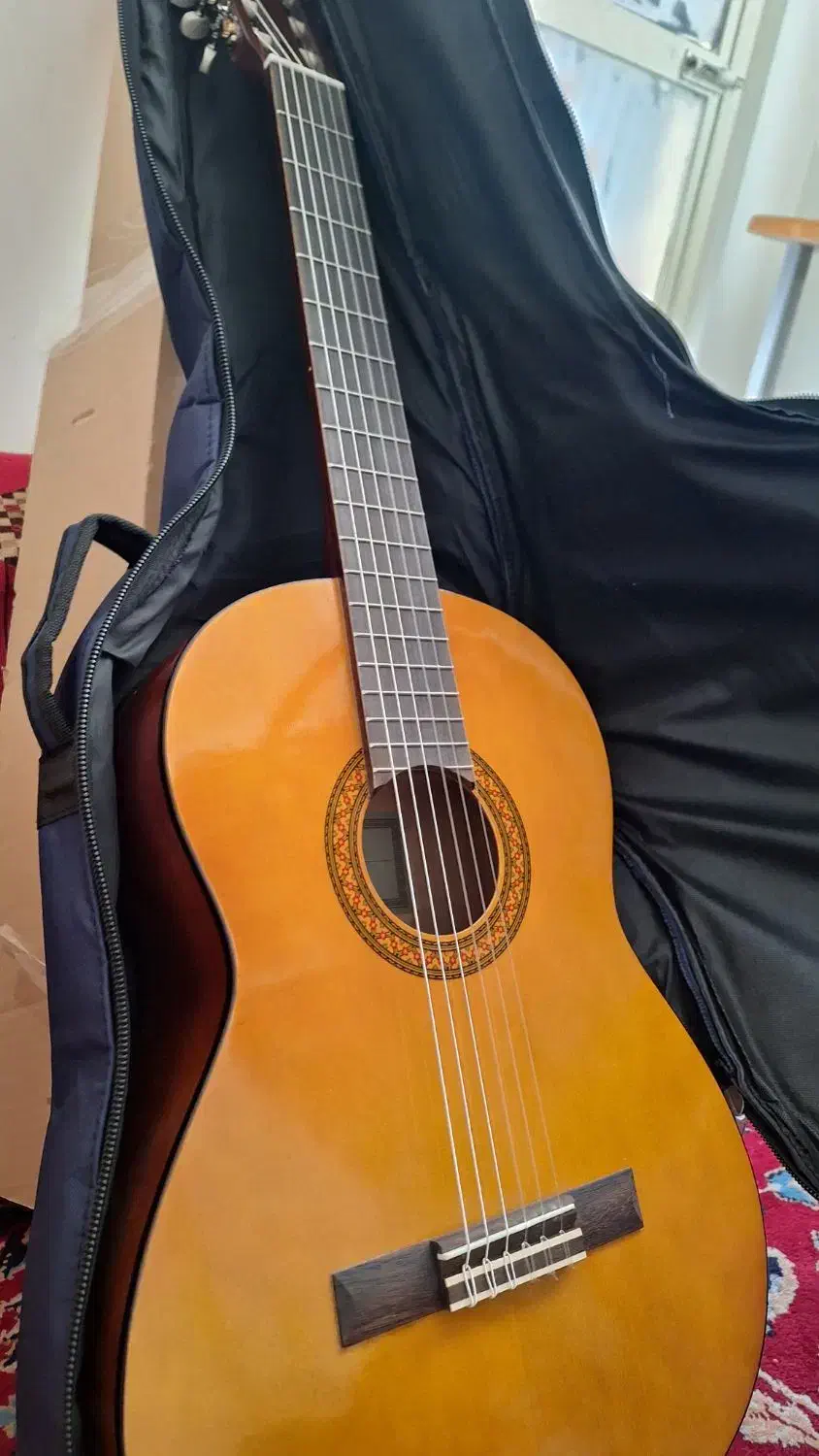 گیتار|گیتار، بیس، امپلیفایر|شیراز, دلجو|دیوار