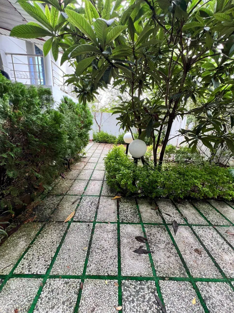 ویلا 270 متری/ مبله کامل/ سندتکبرگ/ شهرکی|فروش خانه و ویلا|دالخانی, |دیوار