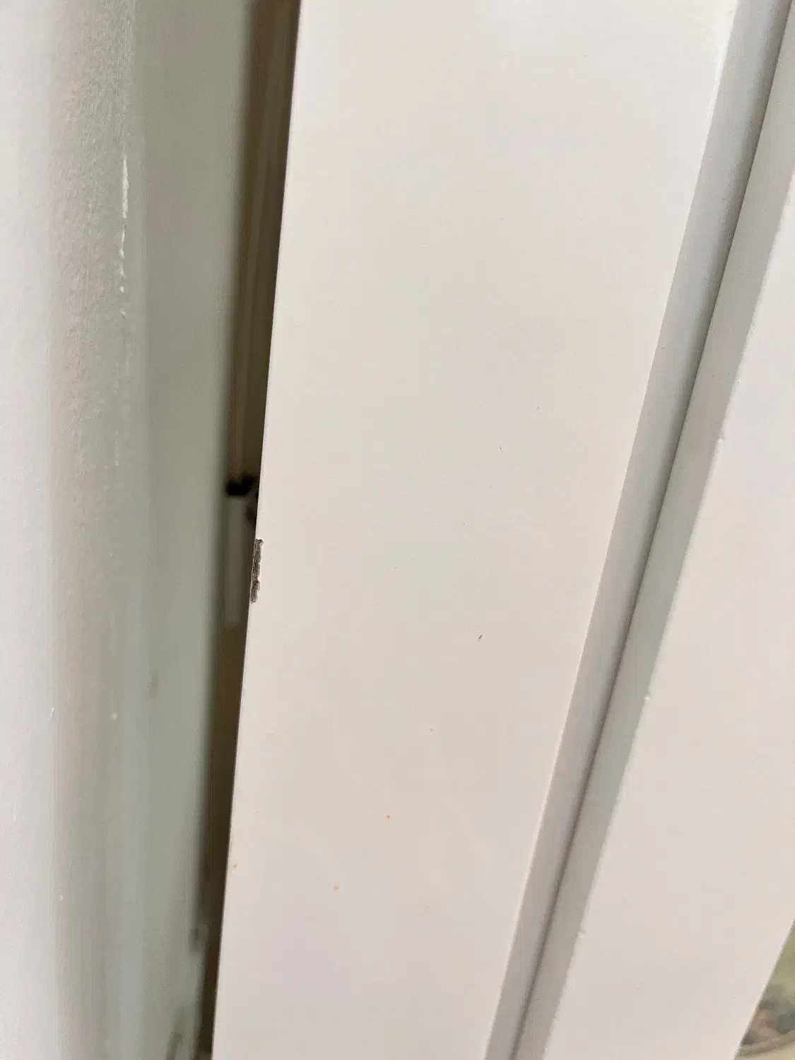 گنجه|بوفه، ویترین، کنسول|مشهد, کوی سیدی|دیوار