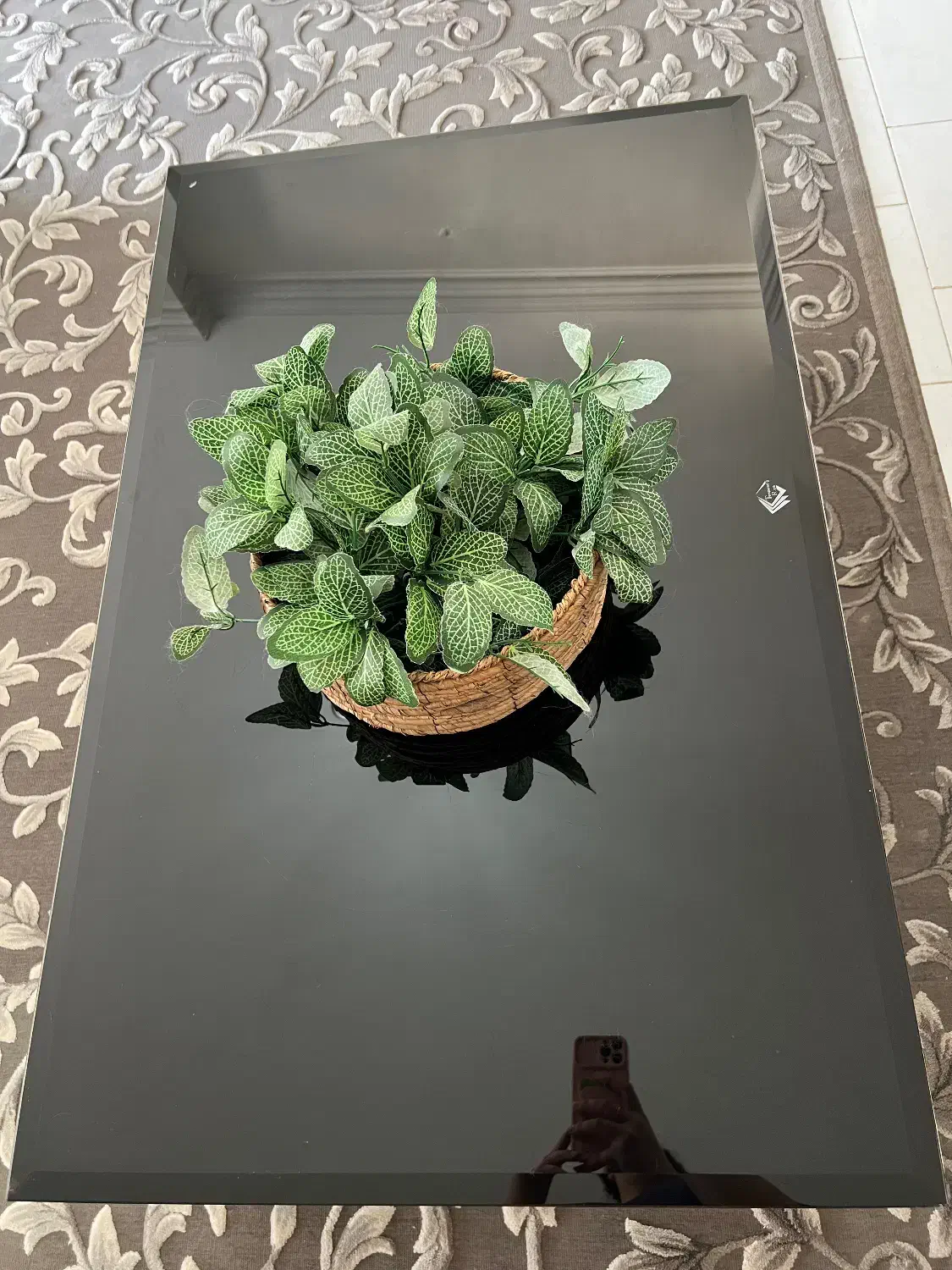 میز جلو مبلی و عسلی ها|مبلمان خانگی و میز عسلی|گرگان, |دیوار