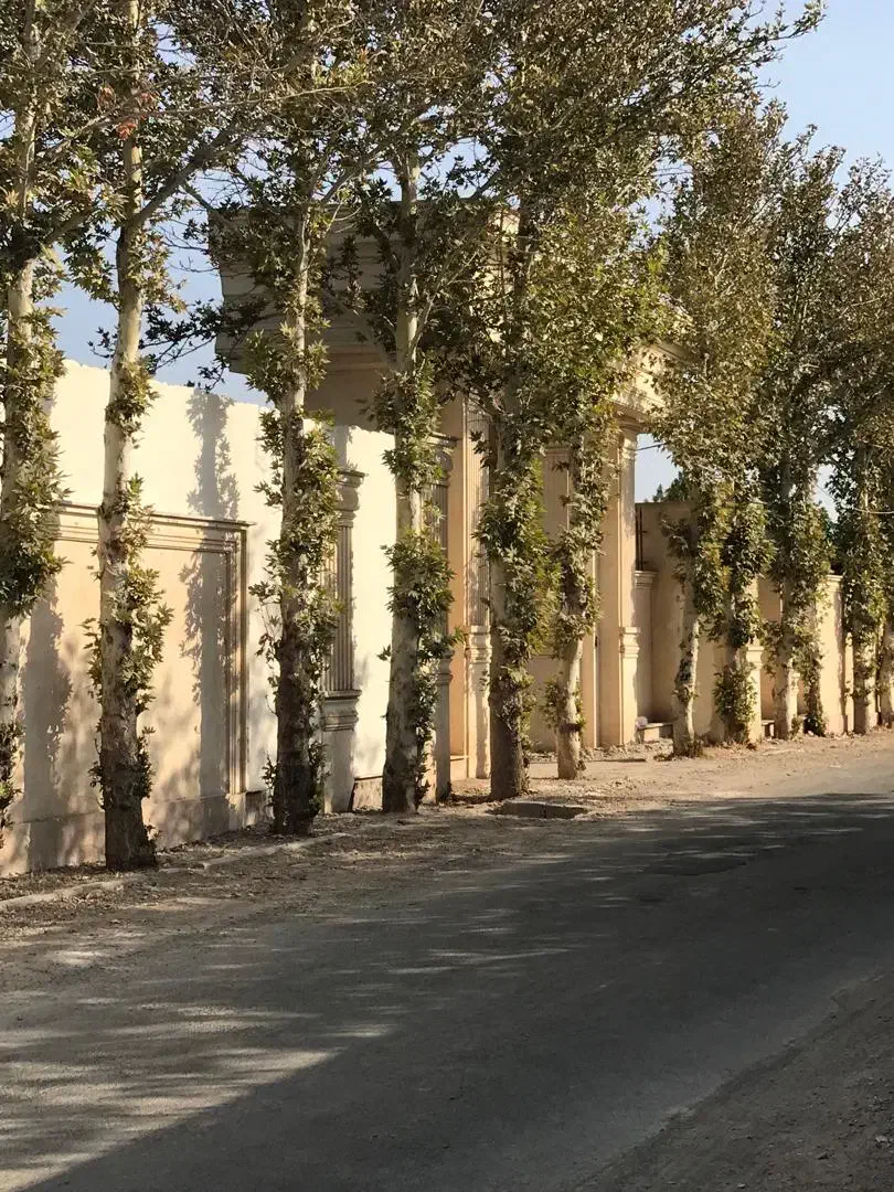 زمین ۳۰۰ متر کنتور برق رامجین سهیلیه کردان  شهرکی|فروش زمین و ملک کلنگی|کرج, فاز ۱ مهرشهر|دیوار