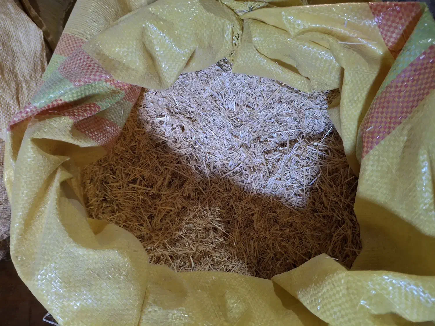 کاه|حیوانات مزرعه|تخت سلیمان, |دیوار