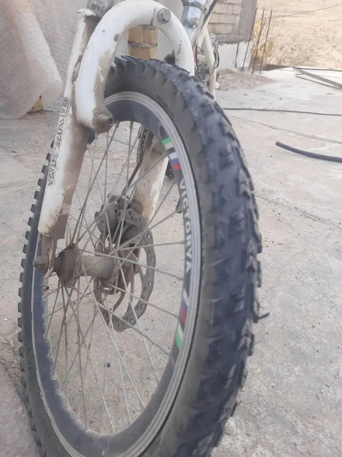 دوچرخه سایز 20ویکتریا|دوچرخه، اسکیت، اسکوتر|بیضا, |دیوار