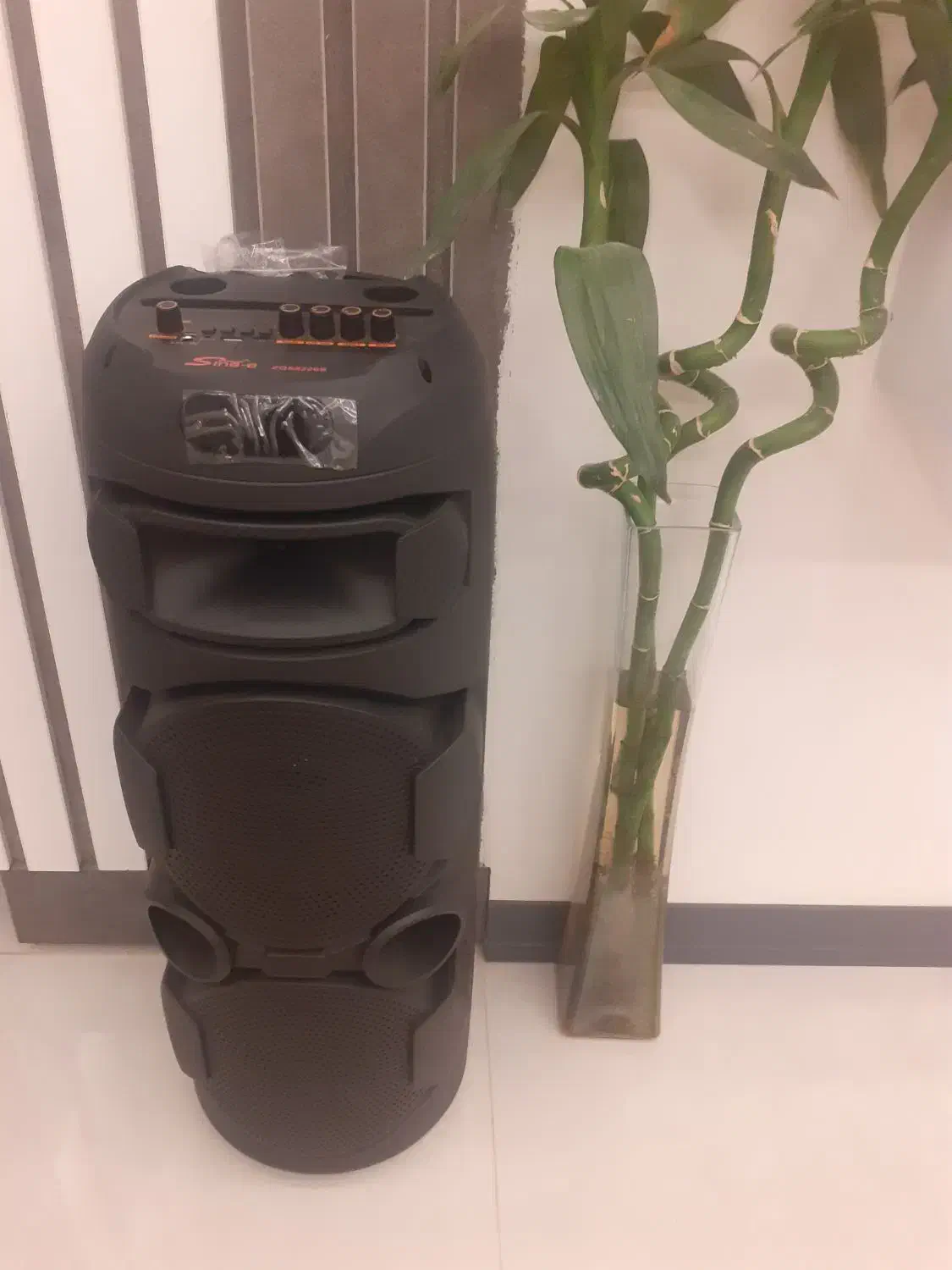 اسپیکر|سیستم صوتی خانگی|اسفراین, |دیوار