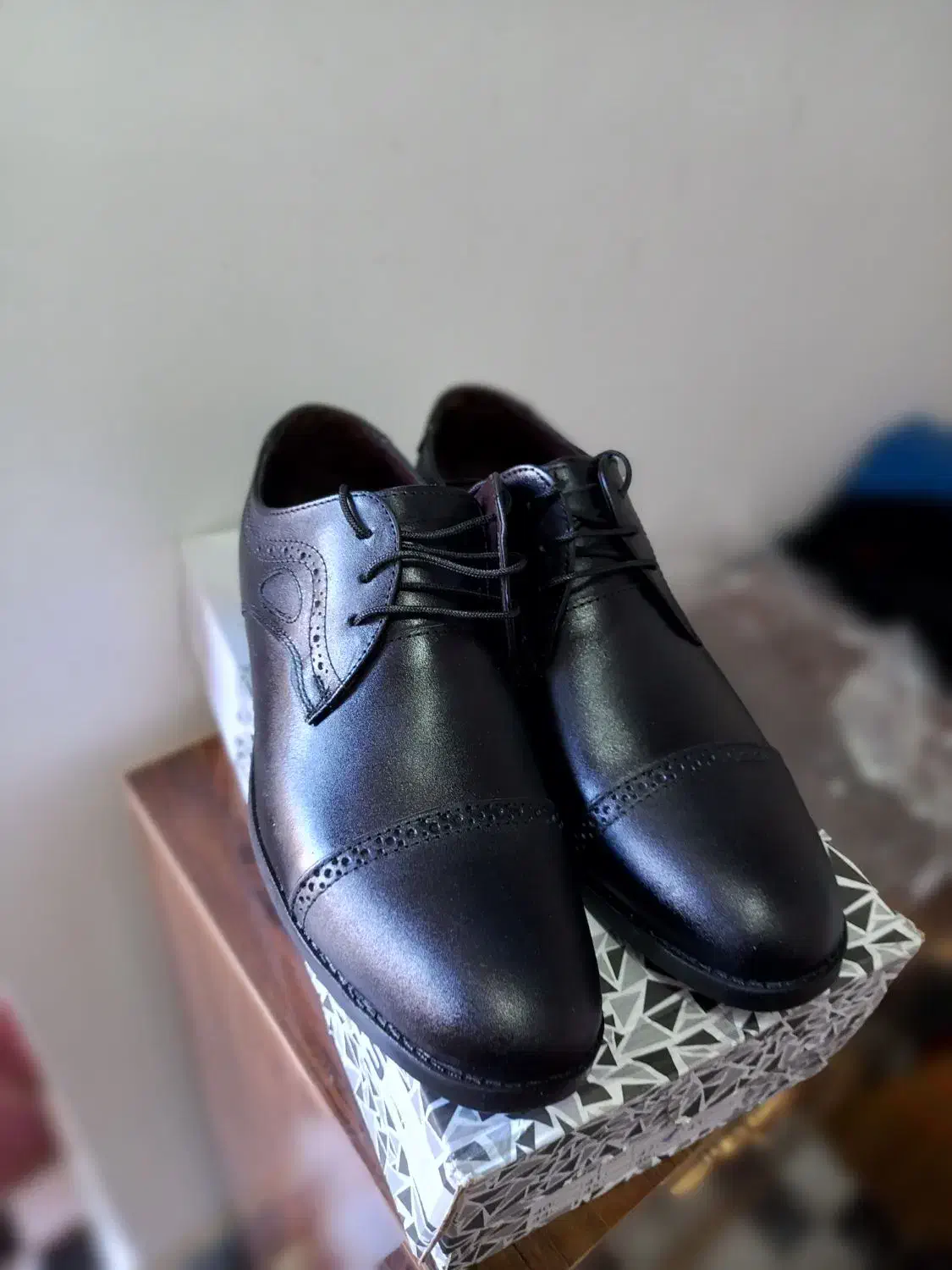 کفش چرمی|کیف، کفش، کمربند|اهر, |دیوار