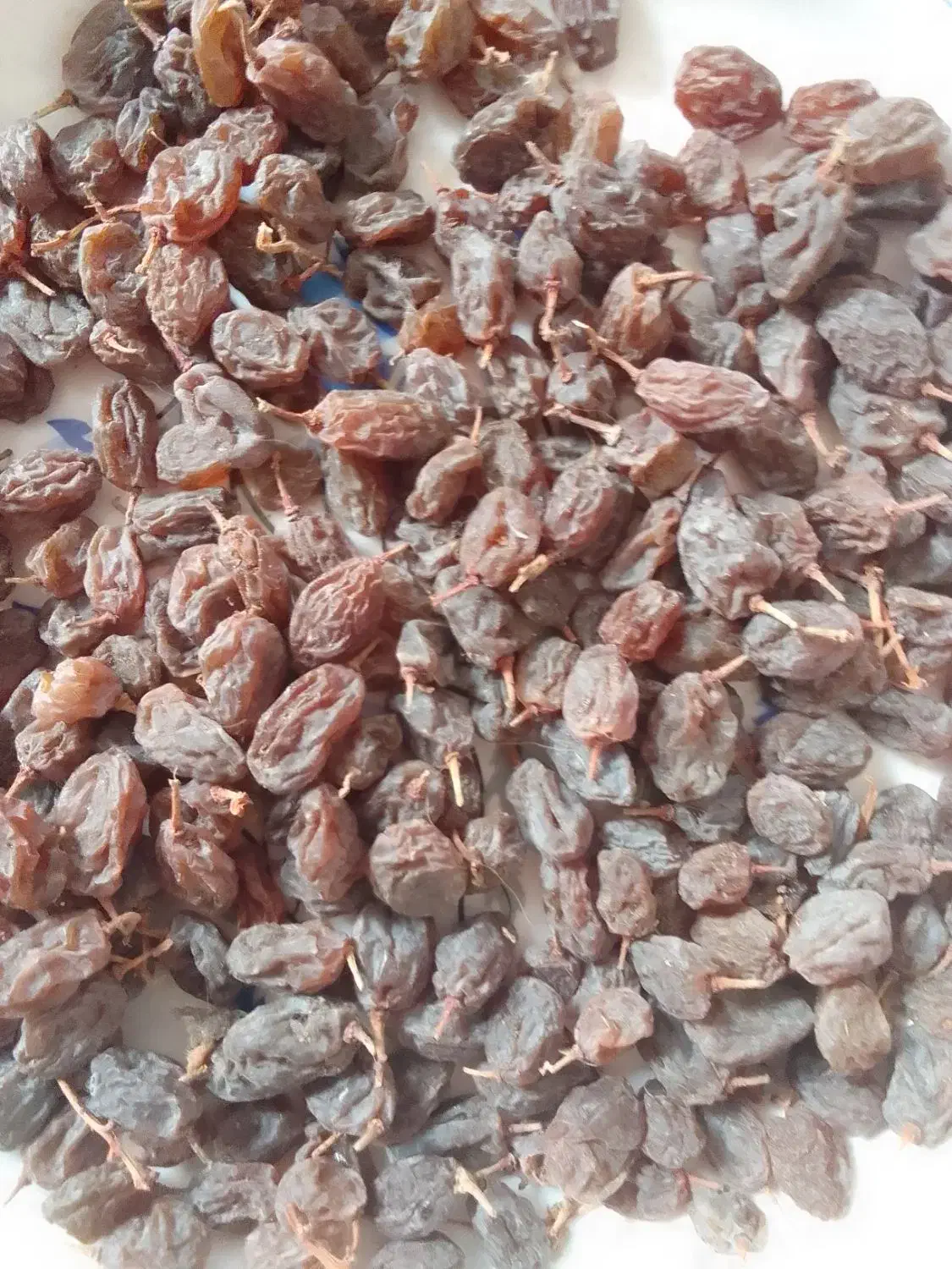 کشمش افتابی|خوردنی و آشامیدنی|بناب, |دیوار