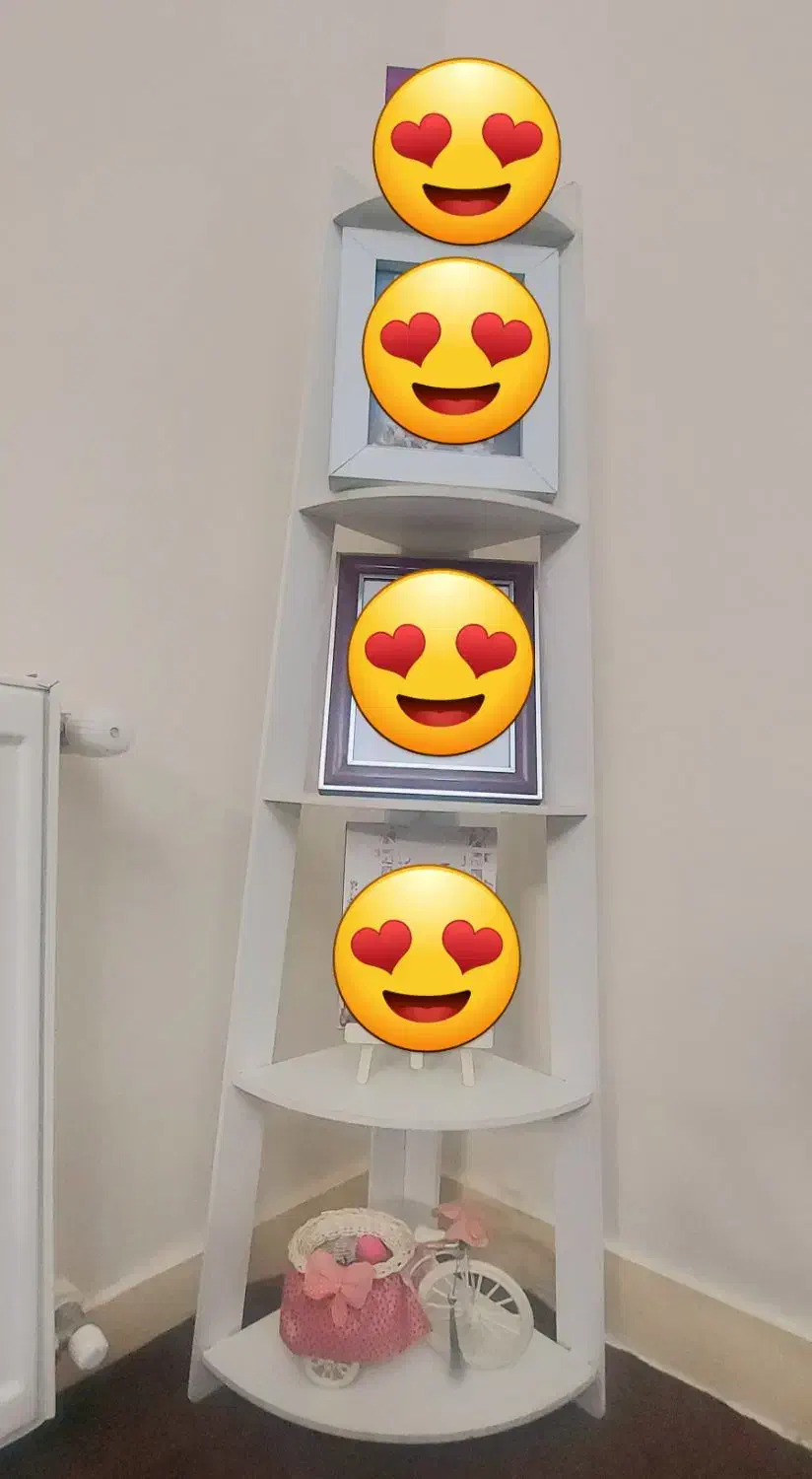 شلف دکوری|کتابخانه، شلف، قفسه‌های دیواری|تهران, افسریه جنوبی|دیوار