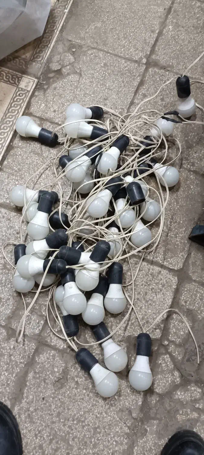 ریسه ۴۰ عددی|ریسه و چراغ تزئینی|نیشابور, امین اسلامی|دیوار