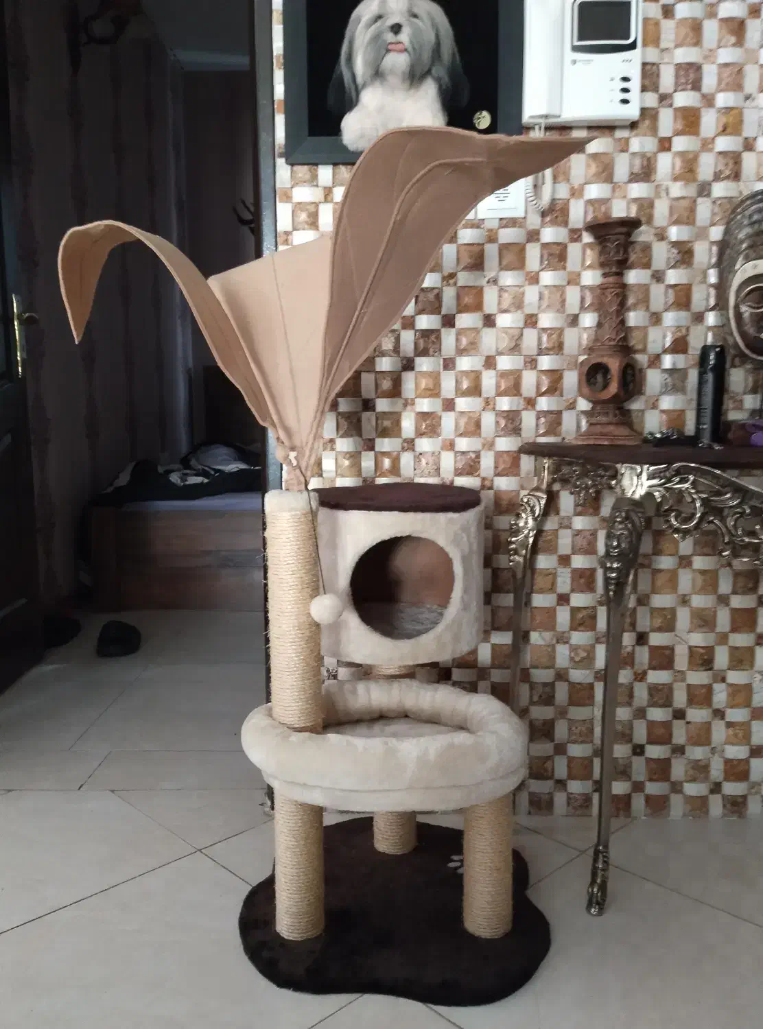 اسکچر|لوازم جانبی حیوانات|رودهن, |دیوار