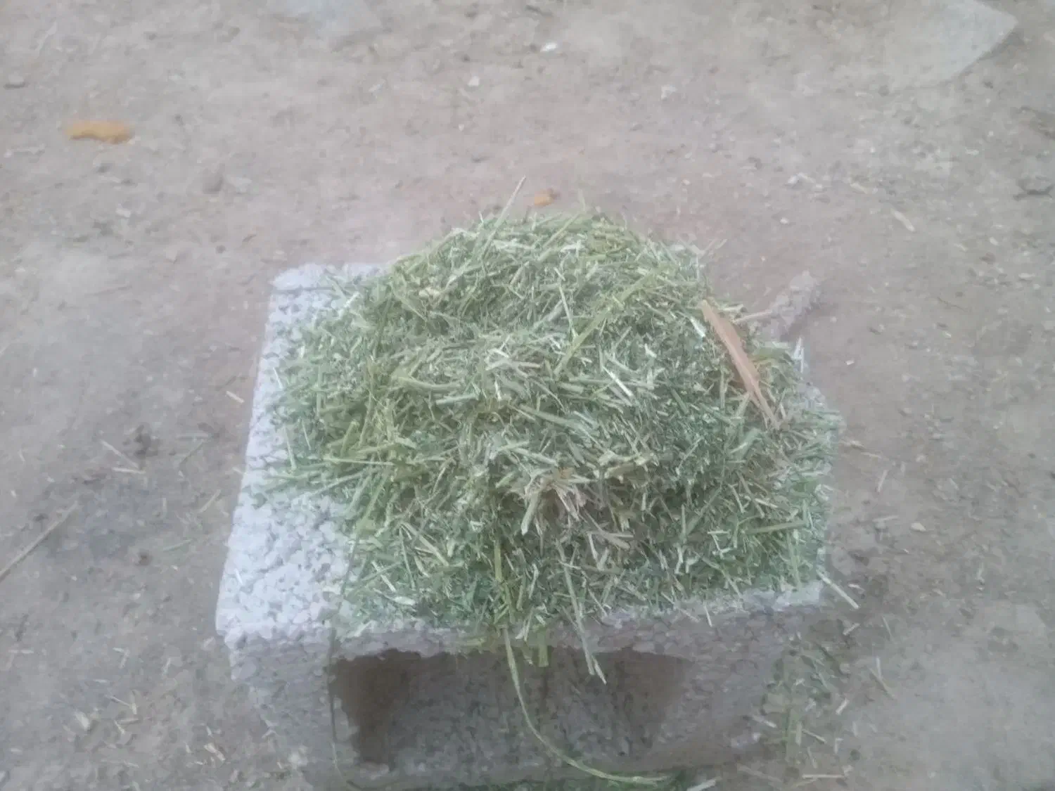 کاه یونجه|لوازم جانبی حیوانات|اصفهان, پل شریعتی|دیوار