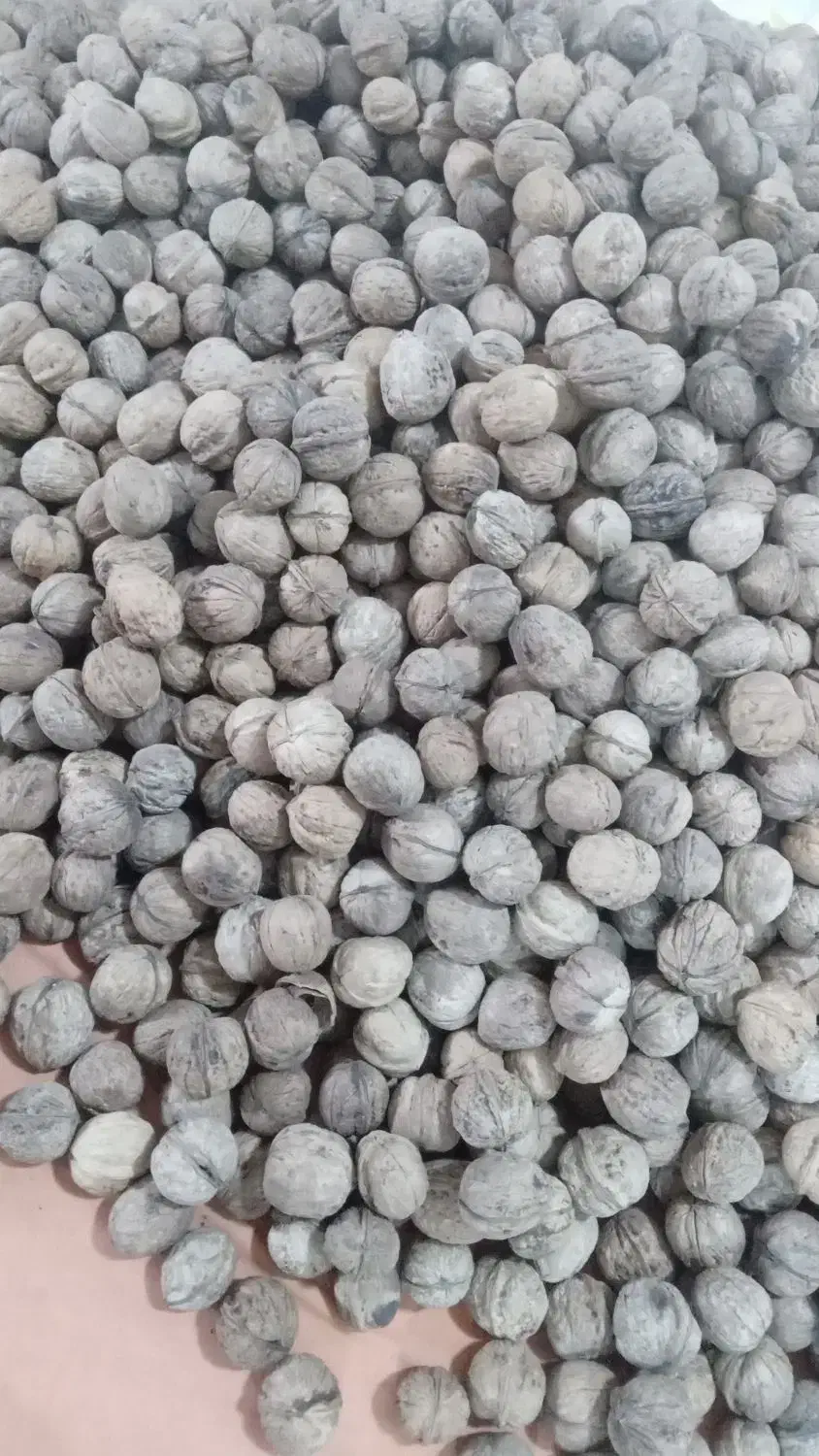 گردو محلی|خوردنی و آشامیدنی|کیش, |دیوار