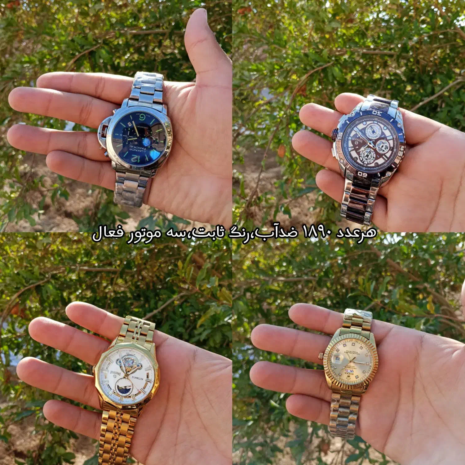 ساعت مچی|ساعت|یزد, |دیوار