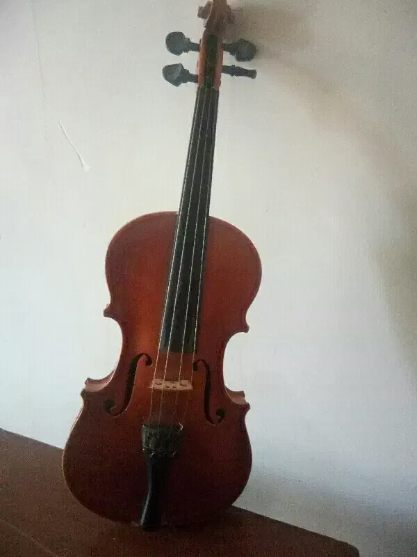 ویولن 3/4|ویولن|شیراز, کیان شهر|دیوار