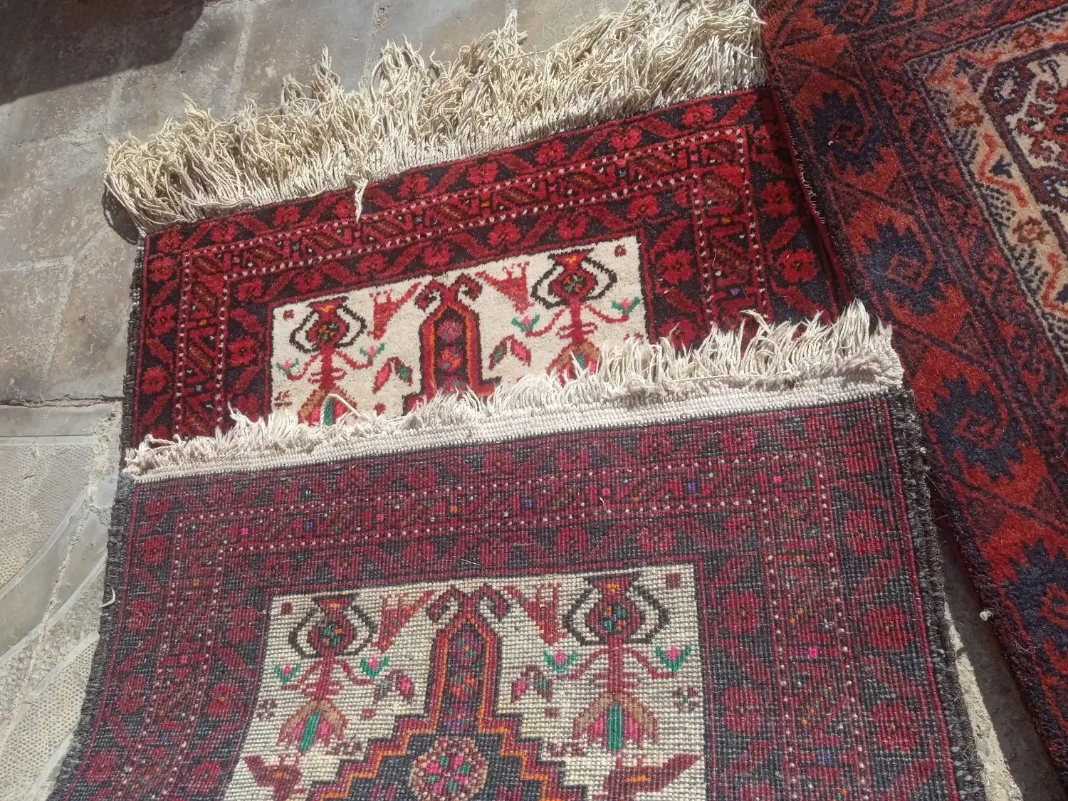 قالیچه دستباف|فرش|تربت‌حیدریه, مظفریه|دیوار