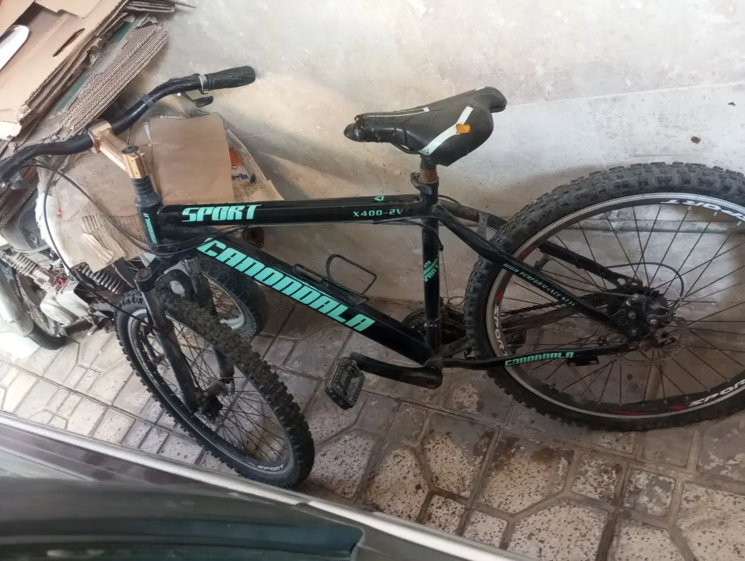 دوچرخه|دوچرخه، اسکیت، اسکوتر|داراب, |دیوار