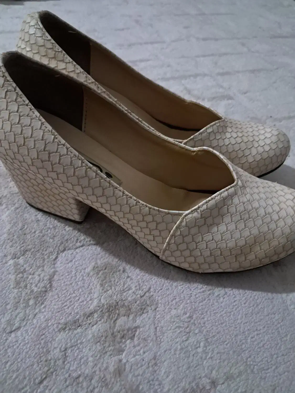 مجلسی سایز ۴۰|کیف، کفش، کمربند|اشتهارد, |دیوار