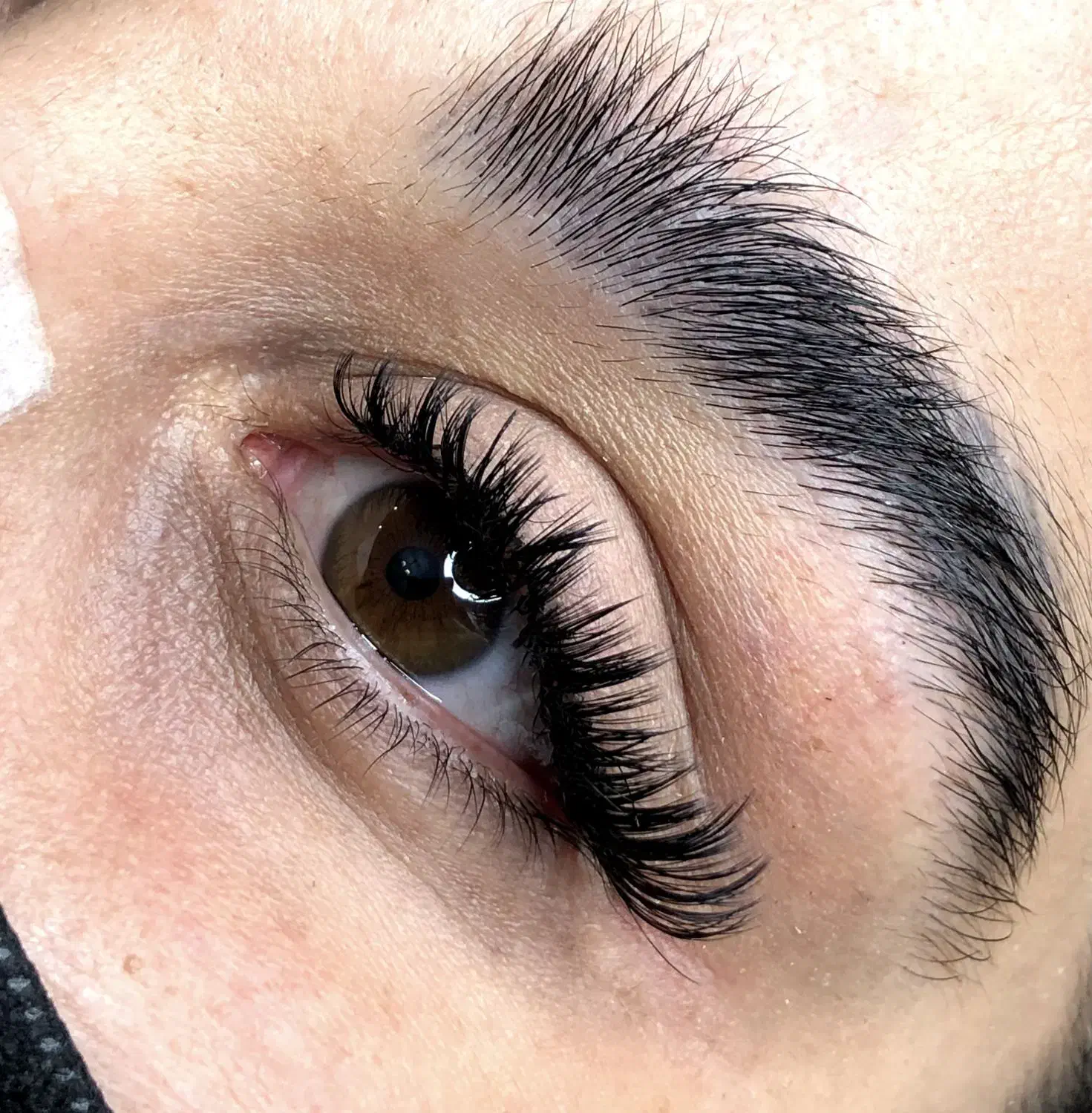 تخفیف پاییزه اکستنشن مژه فقط ۳۵۰تومان تضمینی|خدمات آرایشگری و زیبایی|شیراز, شهرک سراج‎|دیوار