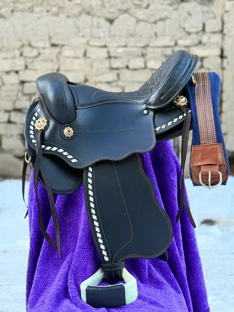 زین اسب|اسب و تجهیزات اسب‌سواری|همدان, |دیوار