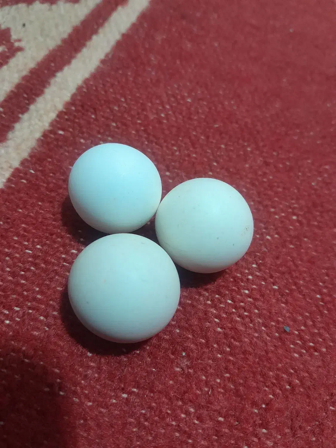 سنگ آسیاب اصلی|کلکسیون اشیاء عتیقه|قیامدشت - خاورشهر, |دیوار