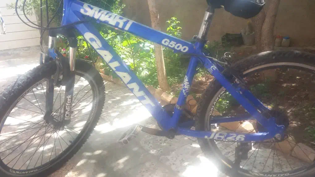 دوچرخه|دوچرخه، اسکیت، اسکوتر|اقلید, |دیوار