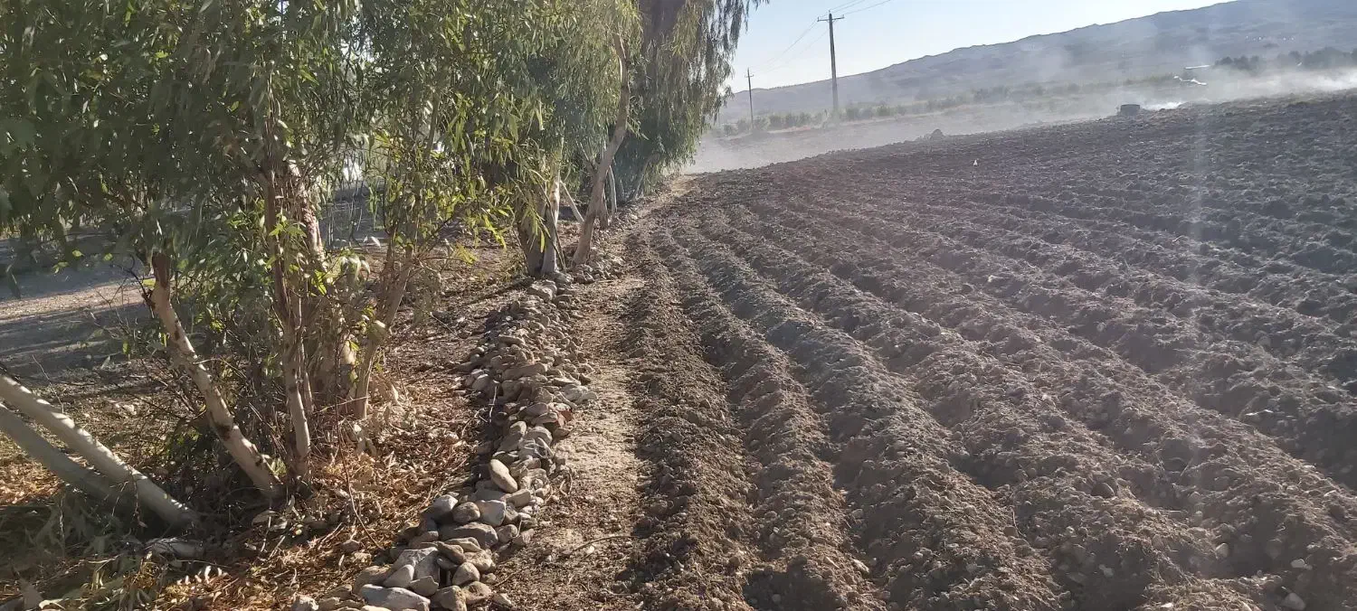 .زمین بر اصلی جاده ریکا|فروش دفتر صنعتی، کشاورزی، تجاری|صالح آباد (ایلام), |دیوار