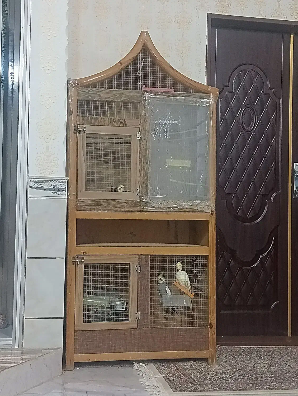 قفس پرنده|لوازم جانبی حیوانات|رفسنجان, |دیوار