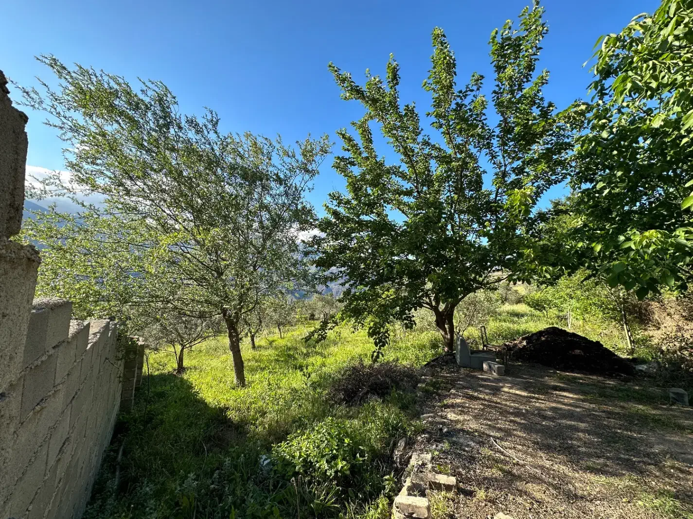 زمین به متراژ ۳۳۰۰ متر برای ساخت باغ ویلا|فروش زمین و ملک کلنگی|رودبار, |دیوار