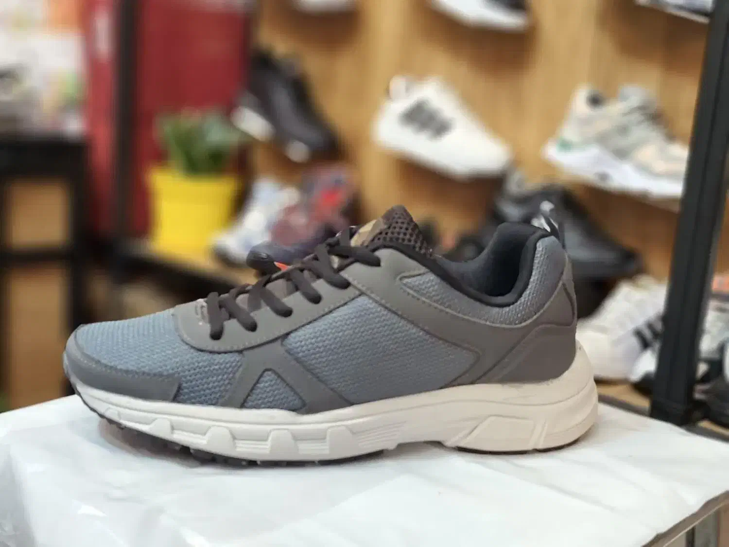 کفش تاناکورایی|کیف، کفش، کمربند|کاشان, بهشتی|دیوار