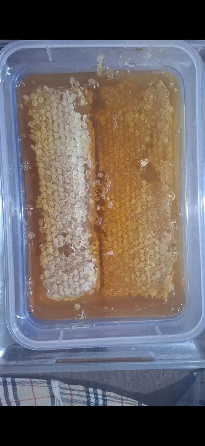 عسل به شرط و تضمینی|خوردنی و آشامیدنی|یاسوج, |دیوار