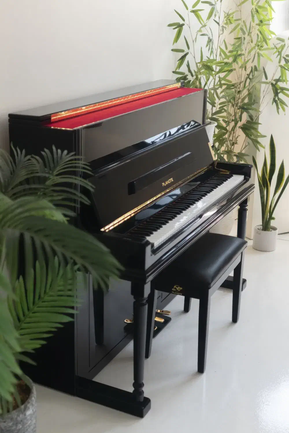 Planot UW120 الکتریک|پیانو، کیبورد، آکاردئون|مشهد, دانشجو|دیوار