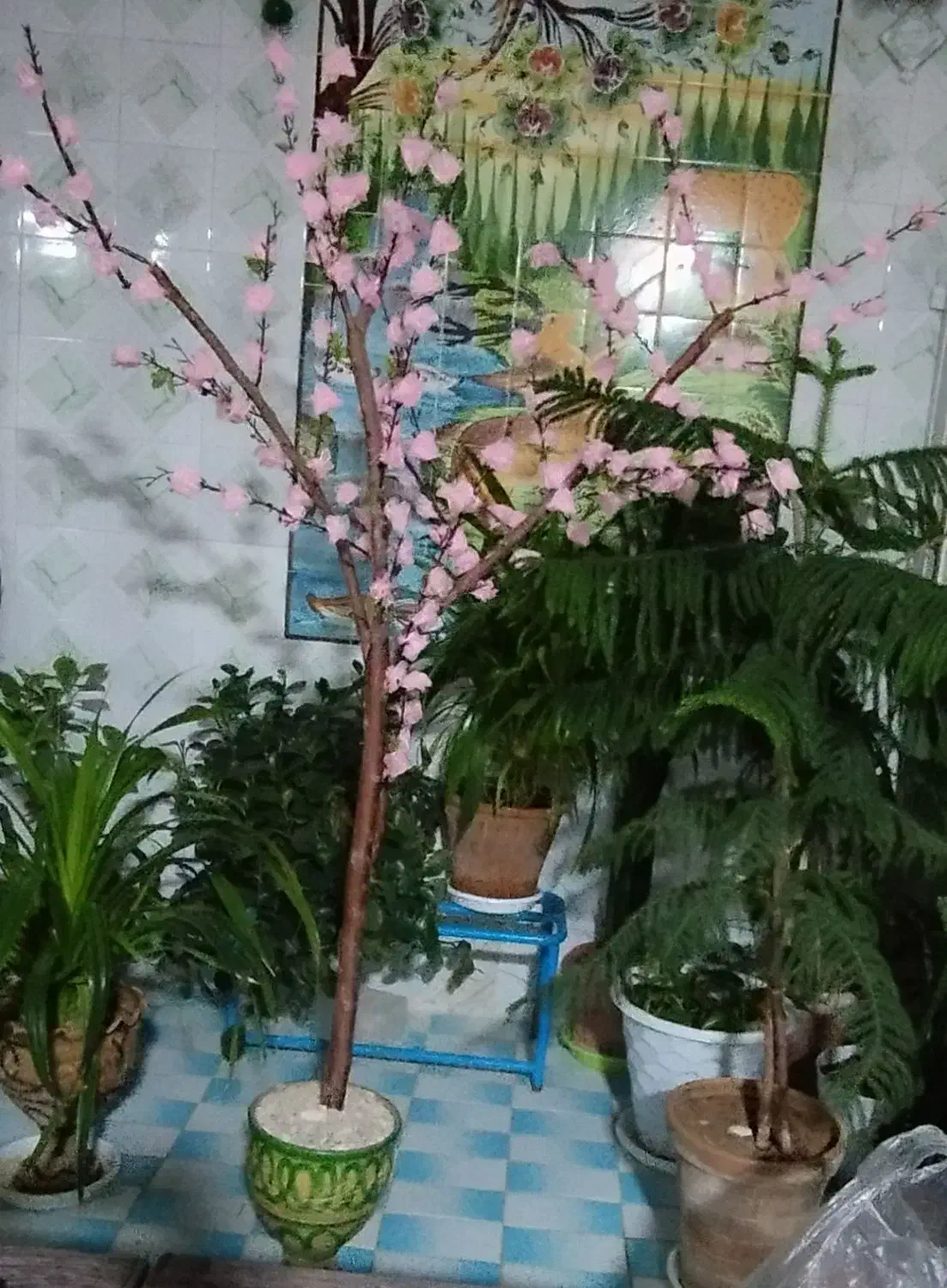 ساخت. انواع دکوراسیون خانه|صنایع دستی و سایر لوازم تزئینی|دوگنبدان, |دیوار