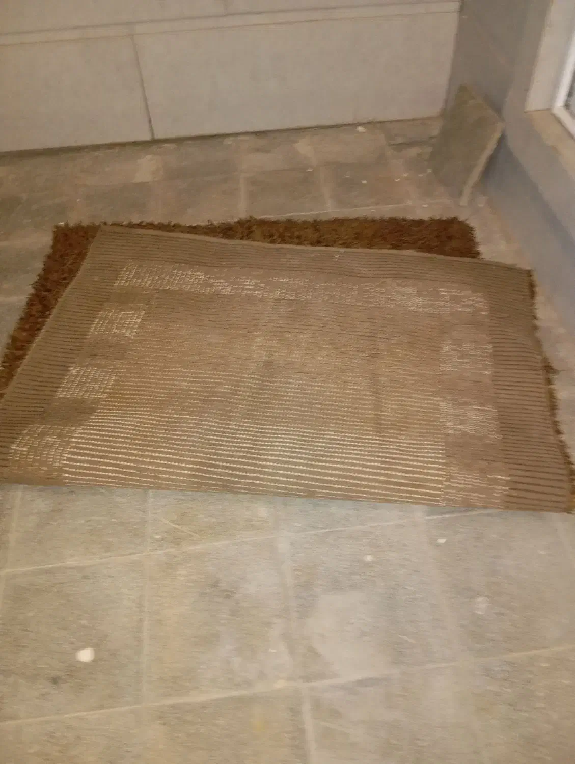 گلیم فرش|گلیم، جاجیم، گبه|تربت جام, مطهری|دیوار