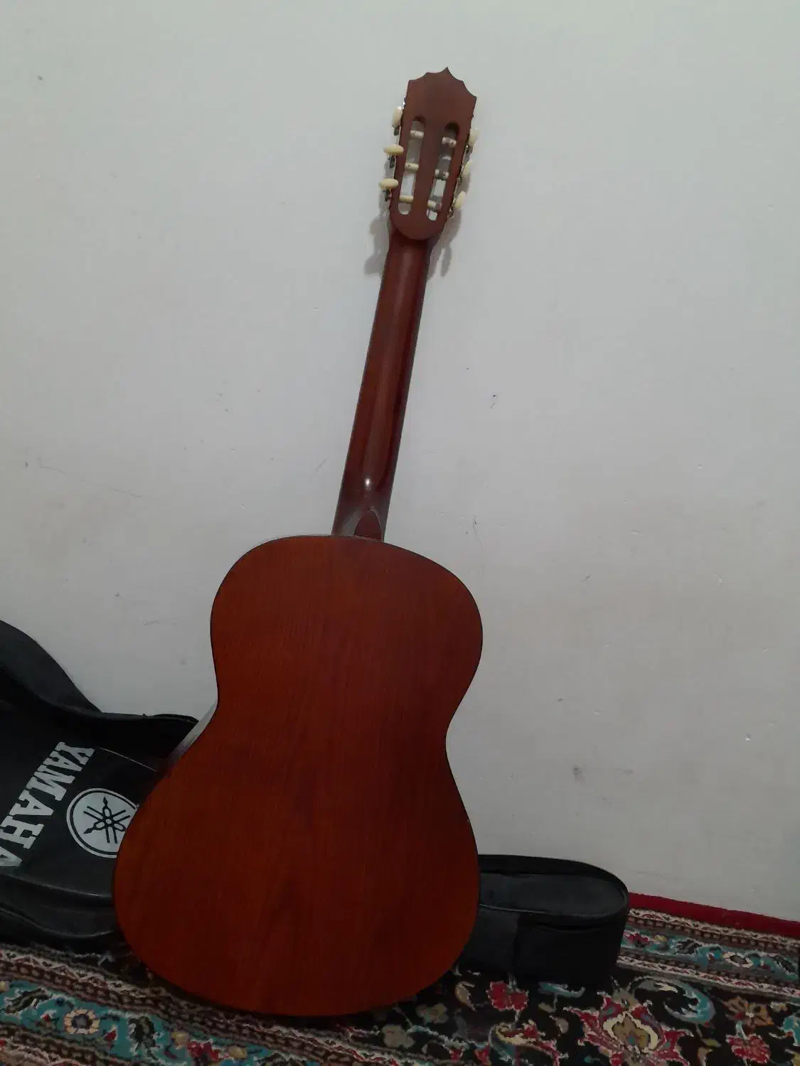 گیتار|گیتار، بیس، امپلیفایر|سنقر, |دیوار