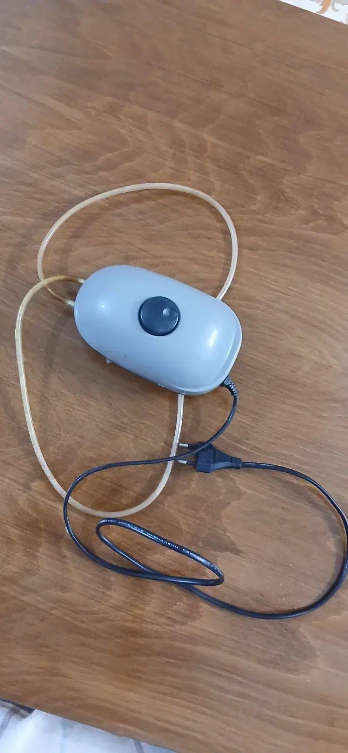 پمپ اکواریوم|ماهی|رباط‌کریم, رباط‌کریم|دیوار