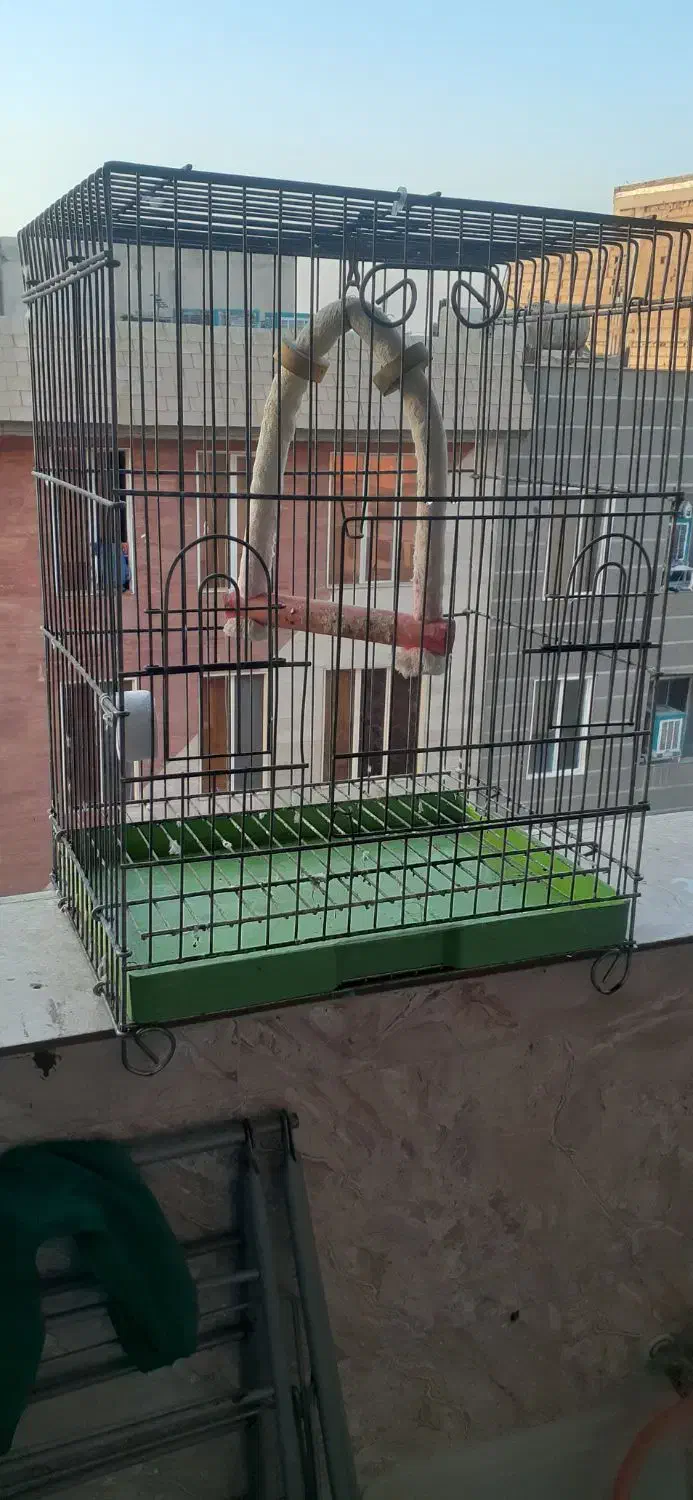 قفس پرنده|لوازم جانبی حیوانات|قرچک, شهرک طلائیه|دیوار