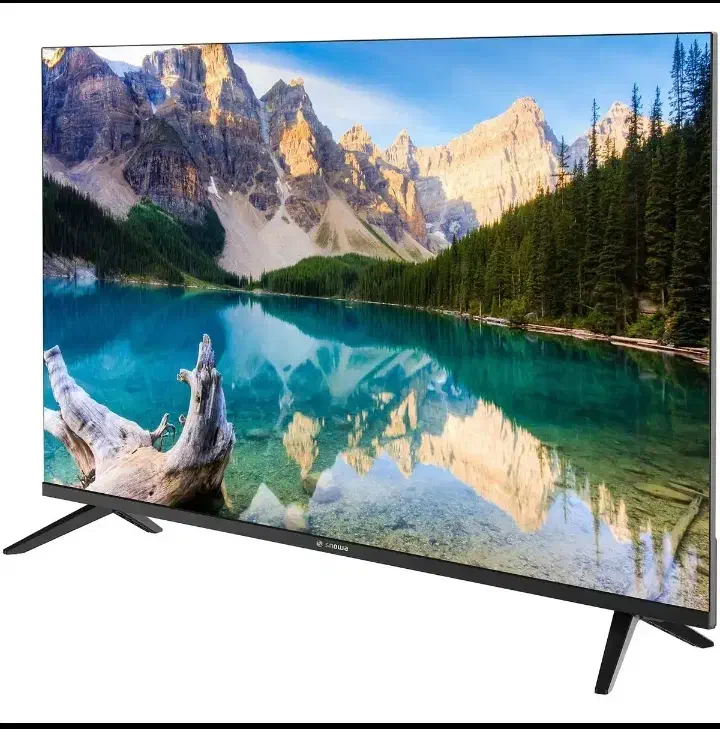 تلویزیون اسنوا 50 اینچ در حد نو با برد دوو|تلویزیون و پروژکتور|رامسر, |دیوار