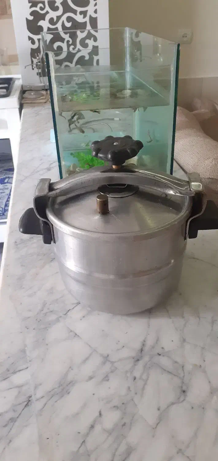 آرام پز|ظروف پخت‌وپز|مشهد, انقلاب|دیوار