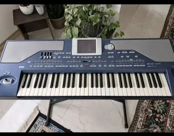 ارگ pa800|پیانو، کیبورد، آکاردئون|سده (خراسان جنوبی), |دیوار