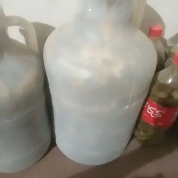 خیارشور|خوردنی و آشامیدنی|شیروان (خراسان), |دیوار