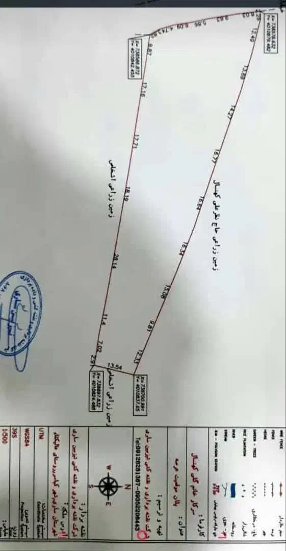 زمین با ویوی عالی در روستای عالیکلا کیاسر|فروش زمین و ملک کلنگی|کیاسر, |دیوار