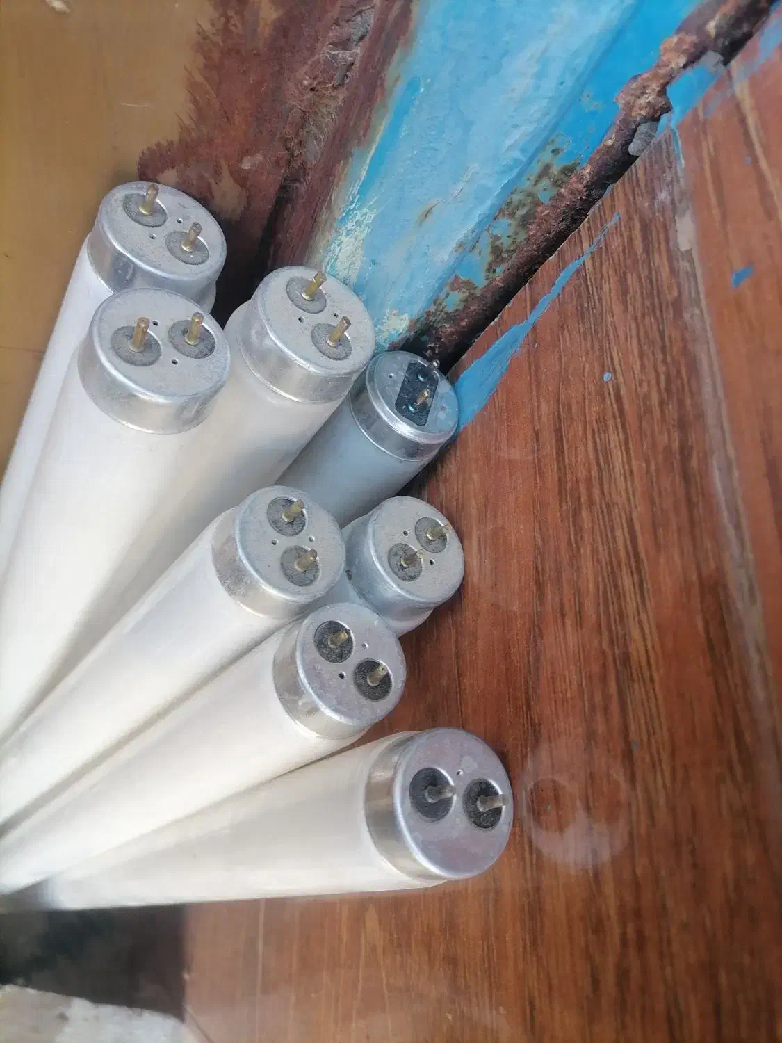 لاپ مهتابی|لامپ و چراغ|سبزوار, جهاد کشاورزی|دیوار