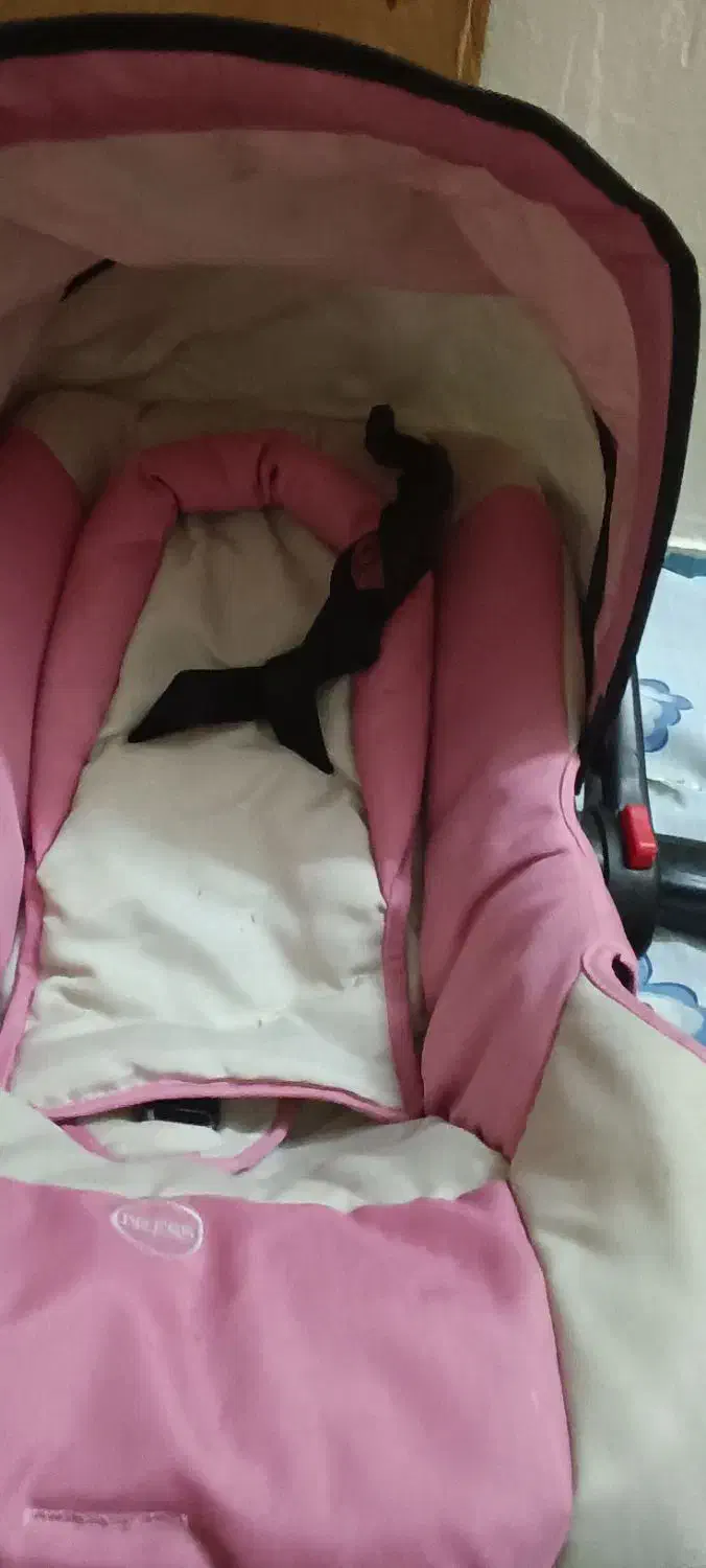 کریر|کالسکه و لوازم جانبی|اهواز, گلستان|دیوار