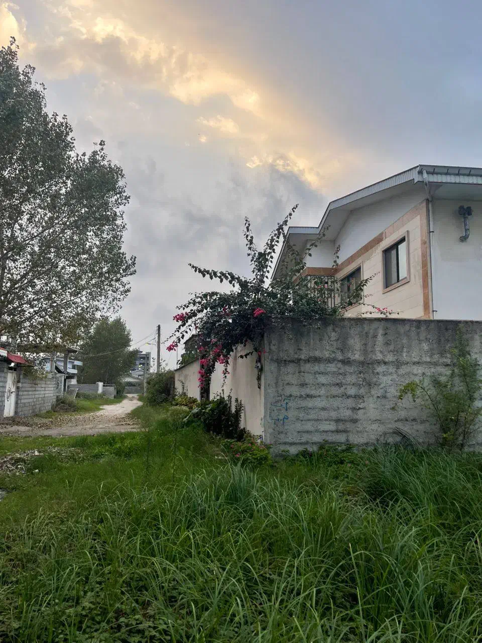 ۳۰۰ متر زمین مسکونی در چاف و چمخاله|فروش زمین و ملک کلنگی|چاف و چمخاله, |دیوار