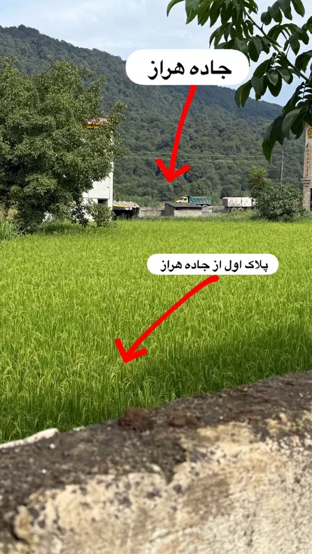 قطعه های ۲۰۰ متری زمین نزدیک تهران ((جنگل هراز ))|فروش زمین و ملک کلنگی|امامزاده عبدالله, |دیوار