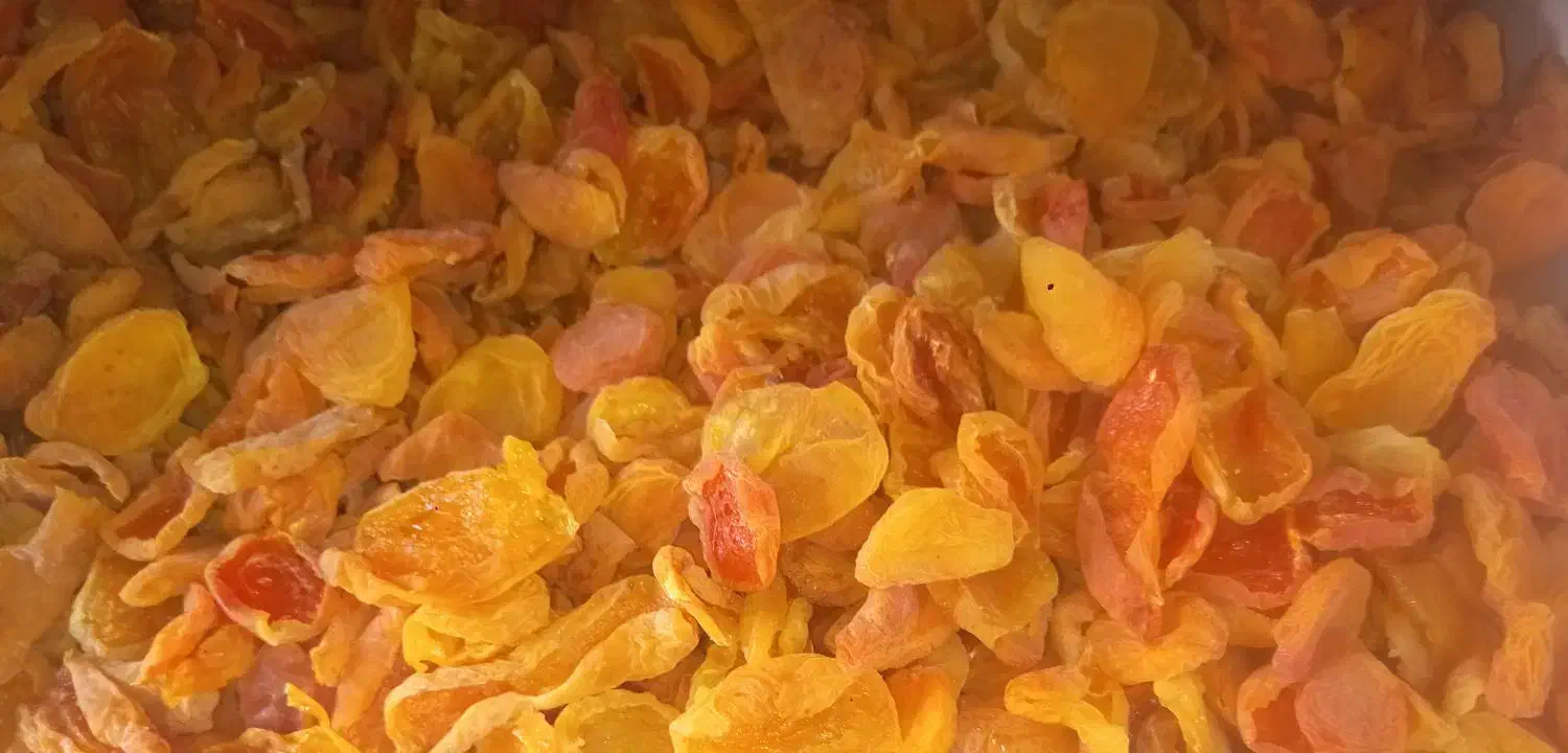 برگه زرد الو پیوندی اذر بایجان|خوردنی و آشامیدنی|قرچک, شهرک طلائیه|دیوار