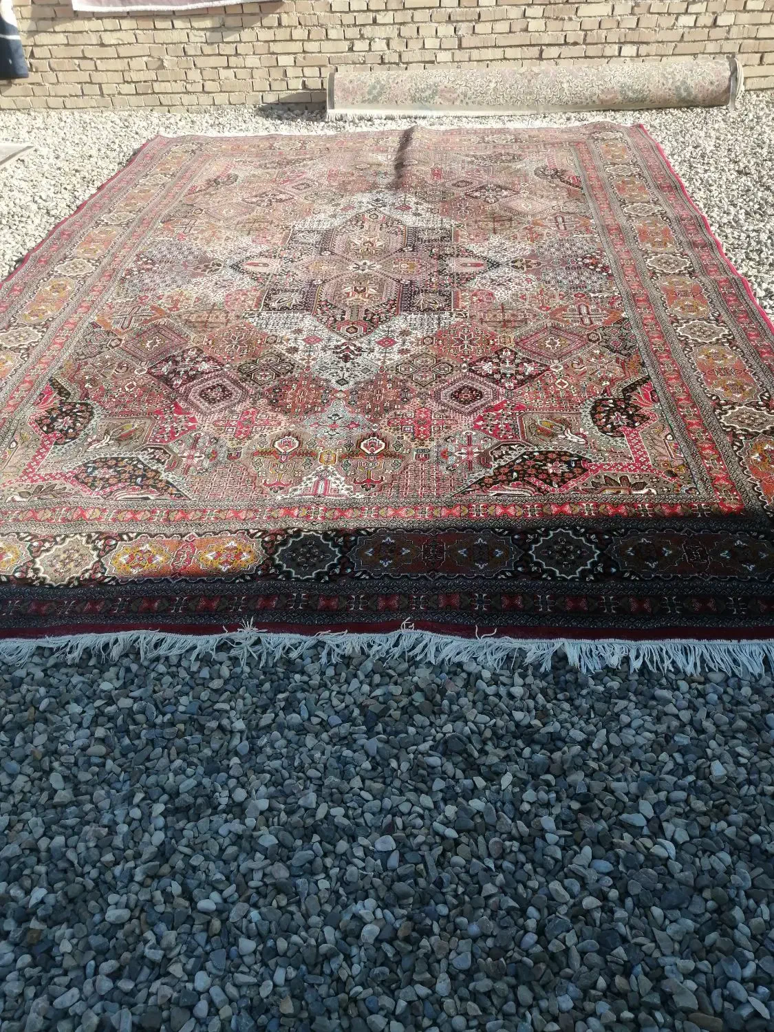 فروش قالی کارکرده|فرش|گنبد کاووس, |دیوار