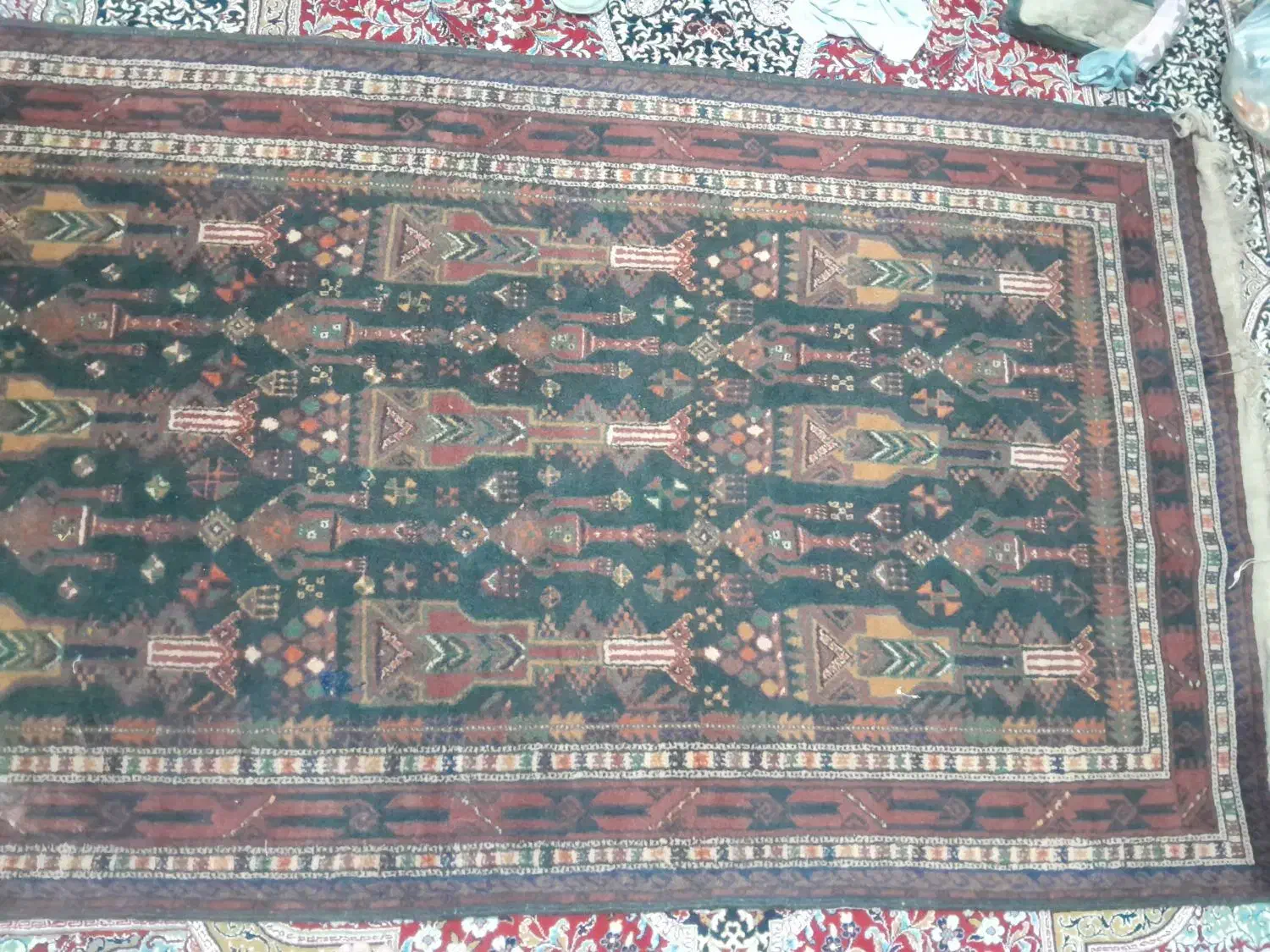 فرش دستباف اصیل زابلی|فرش|زابل, |دیوار